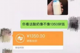 鲁甸专业讨债公司，追讨消失的老赖